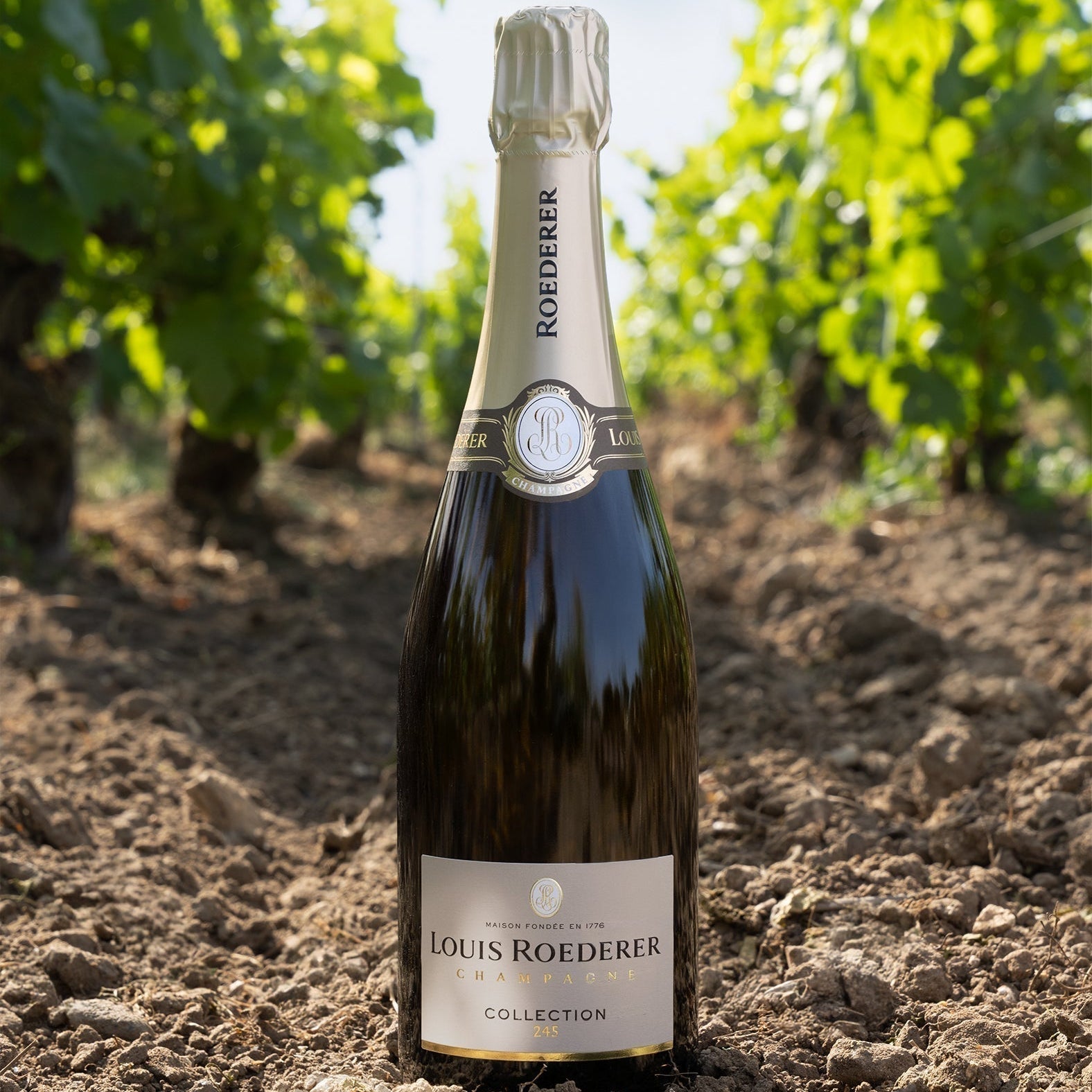 Louis Roederer: The “Most Admired Champagne Brand” 🍾