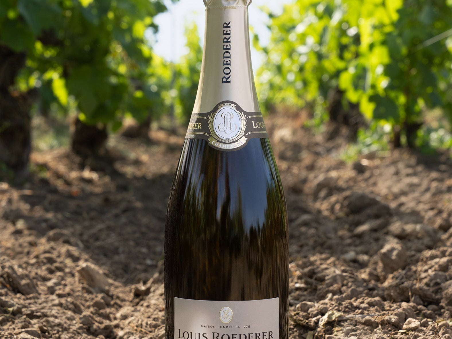Louis Roederer: The “Most Admired Champagne Brand” 🍾