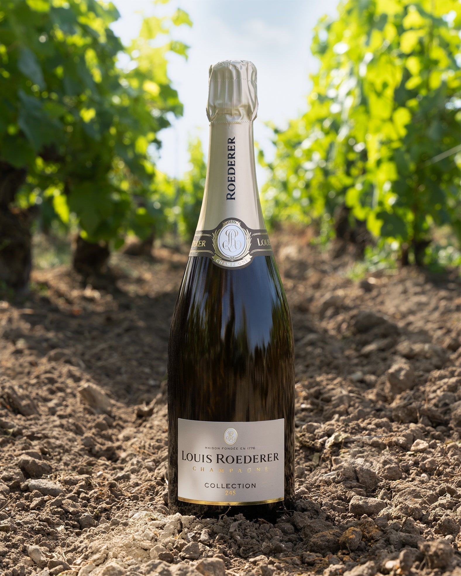 Louis Roederer: The “Most Admired Champagne Brand” 🍾