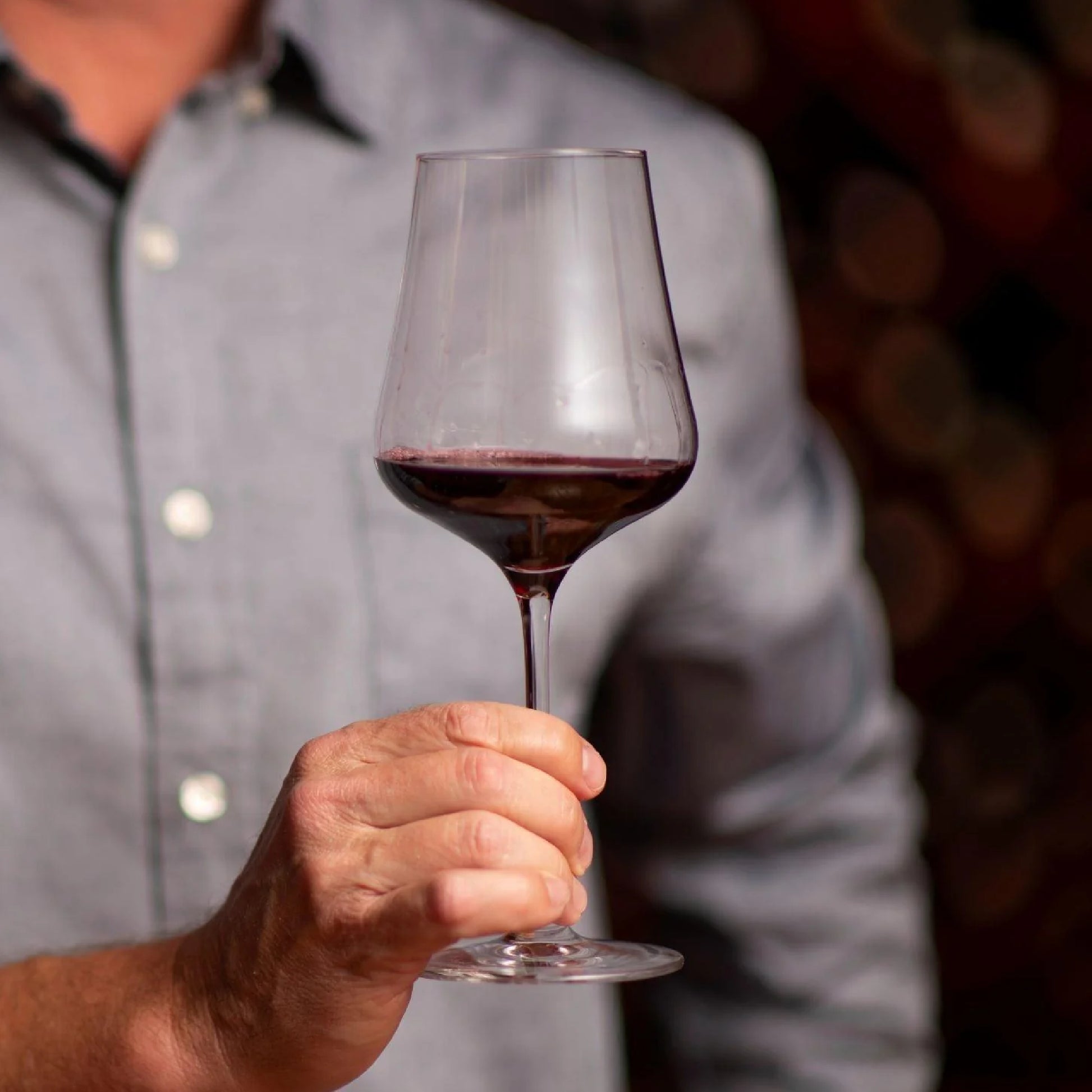 StandArt Machine-Blown Universal Wine Glass - Set of 2