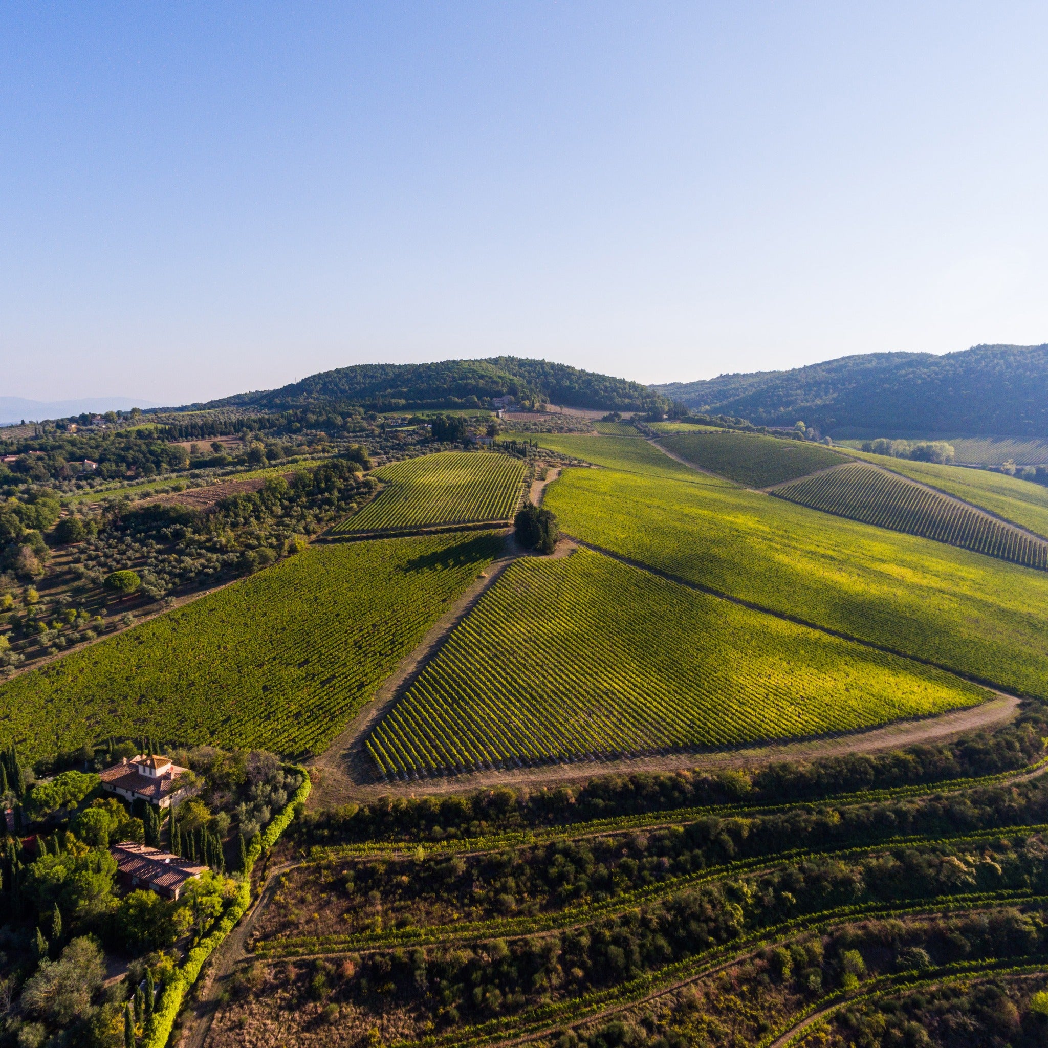 Best Italian Wine in Lebanon